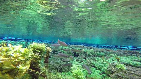 Auf tripadvisor finden sie 1.740 bewertungen von reisenden, 128 authentische reisefotos dillon/wise river ranger district, s.w. A Central Montana State Park with Crystal Clear Water ...