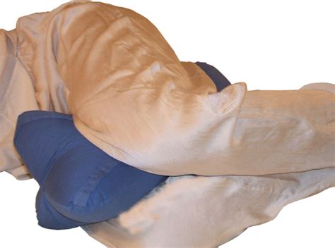Is your network connection unstable or browser. Pillow Forms | Pillow Inserts: chiropractric dog bone ...