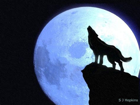 10 Latest Pics Of Wolf Howling At The Moon Full Hd 1920×1080 For Pc