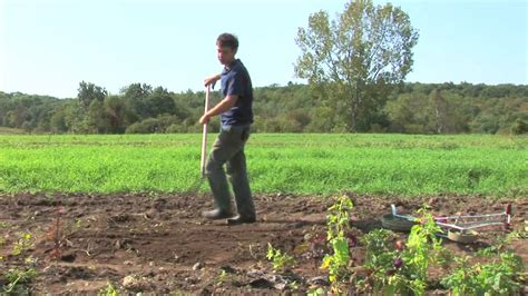 Back to our planting…after we get the rows (furrows) made, we place the potatoes (with love as katriel says) into the furrow skin side up. Vegetable Gardening : How to Plant a Vegetable Garden in ...