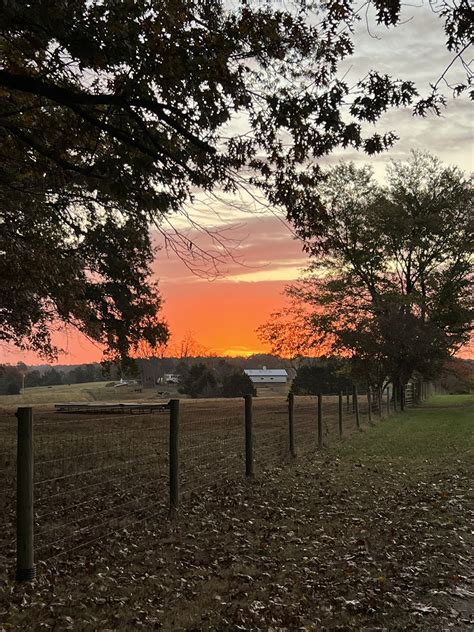 Glenn Mitchell (@ejblues1952) / Twitter