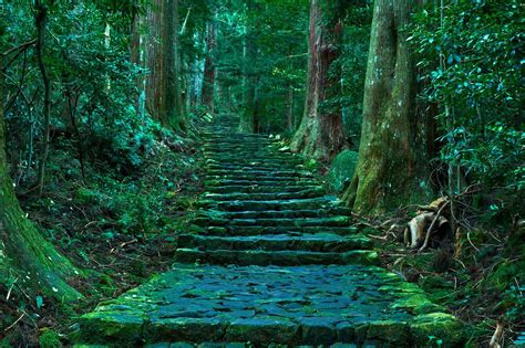 Kumano Kodo Travel Guide: Embark on a Journey Through Japan's History