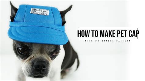 How To Make A Pet Hat Youtube
