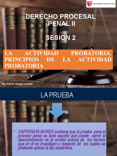 Sesión 3 Derecho Procesal Penal Ii Pdf Evidencia Ley Ley Procesal