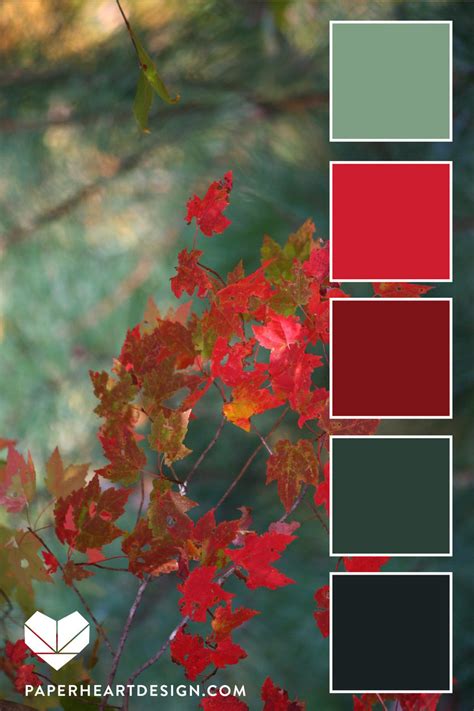 Color Palette Autumn Leaf Love — Paper Heart Design Fall Color