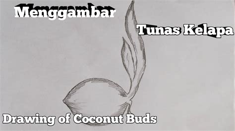 Menggambar Tunas Kelapa Drawing Of Coconut Buds Youtube