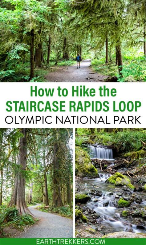 How To Hike The Staircase Rapids Loop In Olympic National Park Earth