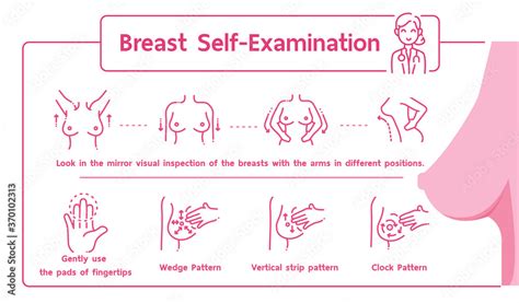 Vetor Do Stock Breast Self Examination How To Do A Self Breast Exam At