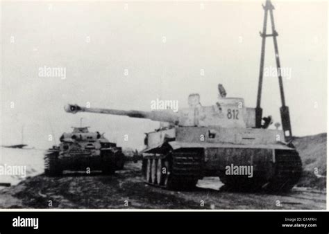 Waffen SS Tiger Tanks