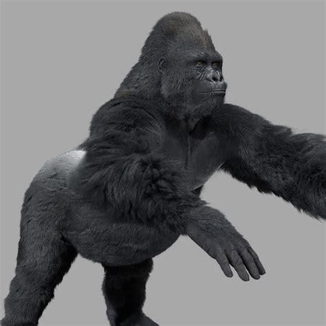 Gorilla Primate 3d Obj