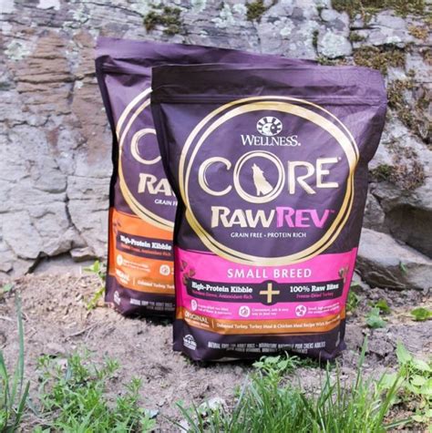 How To Unleash Your Dogs Raw Energy With Wellness Core Rawrev