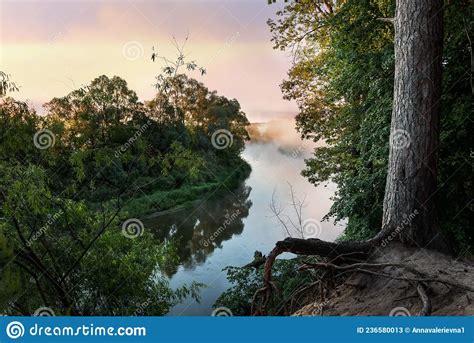 Early Foggy Summer Morning On The River Stock Image Image Of Green