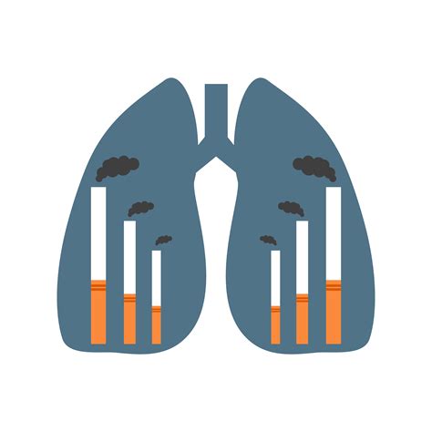 New Insights Into How Cigarette Smoke Increases Inflammation In Lung Cells