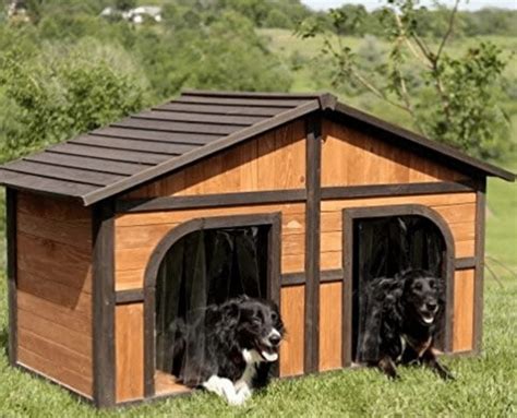 Best Double Dog House 2020 Dog House For Two Dogs We Love Doodles
