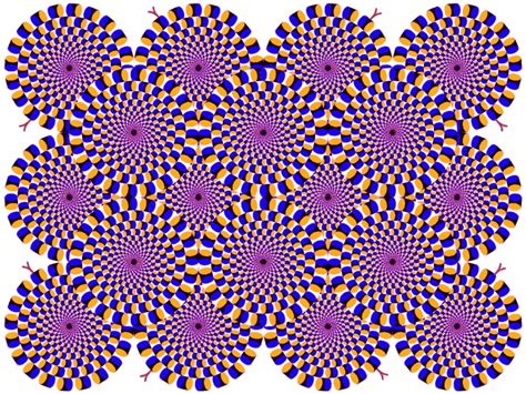Crazy Optical Illusion Visual Illusion Illusions