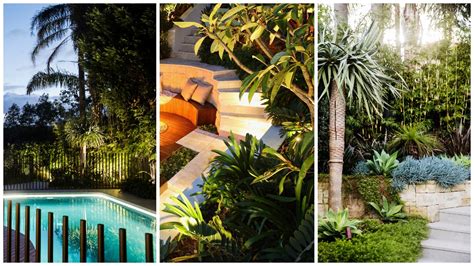 How To Create A Tropical Garden Growing Rooms Sydney Landscape