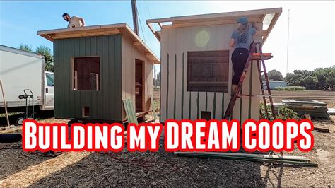 Building My Dream Chicken Coop Youtube