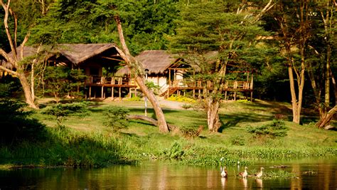 Ugandas Chobe Safari Lodge Is Ideal For Wildlife Viewing On The Nile