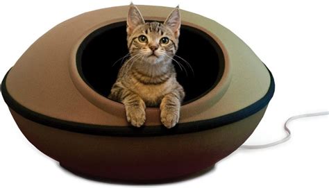 6 Best Cat Beds For Large Cats In 2023 Cat Mania