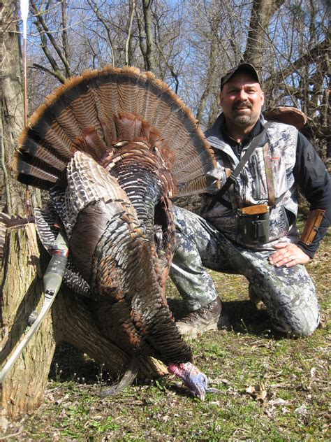 Spring Turkey Hunting Tips With Traditional Bow 3rivers Archery