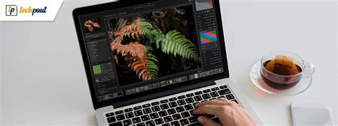 Today, we'll explore ten free lightroom alternatives and find the photo editor that best suits your needs. 7 Best Free Lightroom Alternatives In 2021 | TechPout