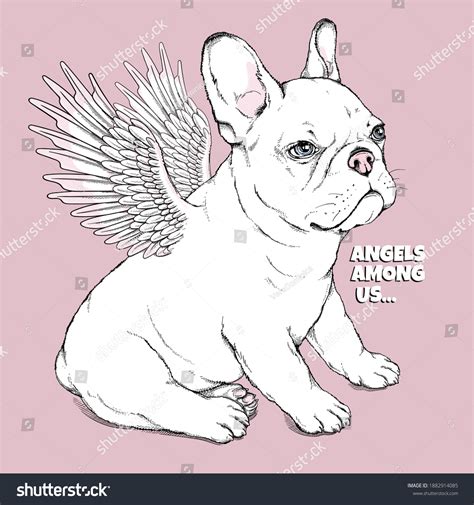Cute French Bulldog Puppy Angel Wings Stock Vector Royalty Free