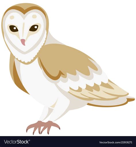 Cartoon Barn Owl Royalty Free Vector Image Vectorstock