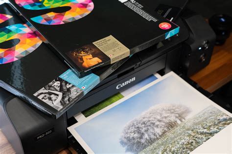 Canon Pro 300 Printer Review The Best Printer For Landscape