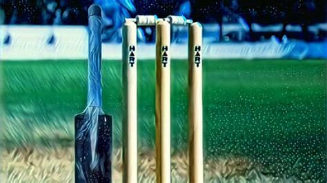 If you like our list then don't forget to comment below also if you know some. Missing Cricket WhatsApp Status - Shiv K - YouTube