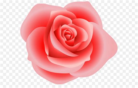 Rose Clip Art Large Red Rose Clipart Png Download 2047