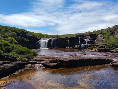 A Guide To The Royal National Park