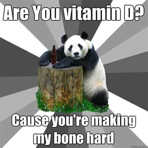 Failed Flirting Bear Memes Pickup Line Panda