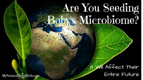Are You Seeding Babys Microbiome It Will Affect Their Entire Future