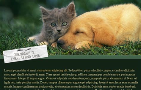 They also provide an opportunity. Cat Friendship Quotes. QuotesGram