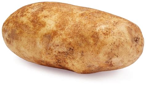 Russet Potato One Large Grocery And Gourmet Food