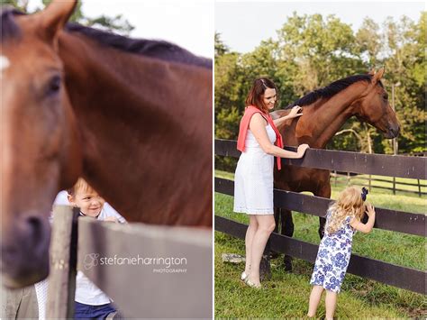 Dc Northern Virginia Twins Photographer Horse Farm