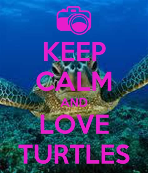Keep Calm And Love Turtles Poster Court Keep Calm O Matic