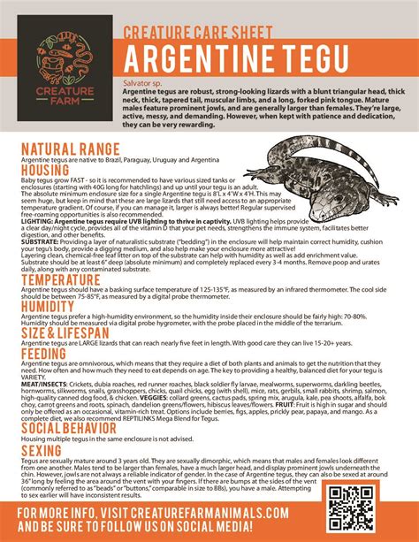 Argentine Tegu Care Creature Farm