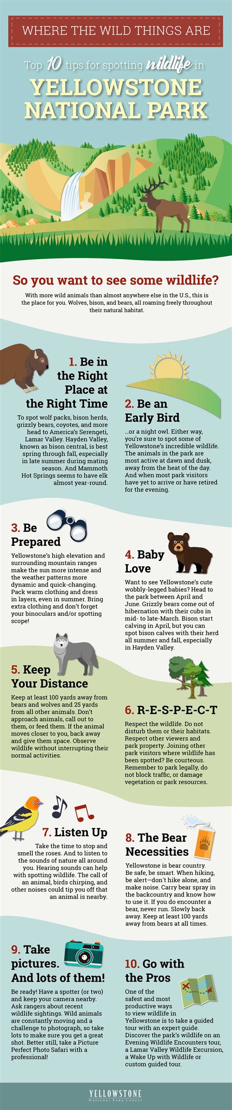 Infographic: Where the Wild Things Are