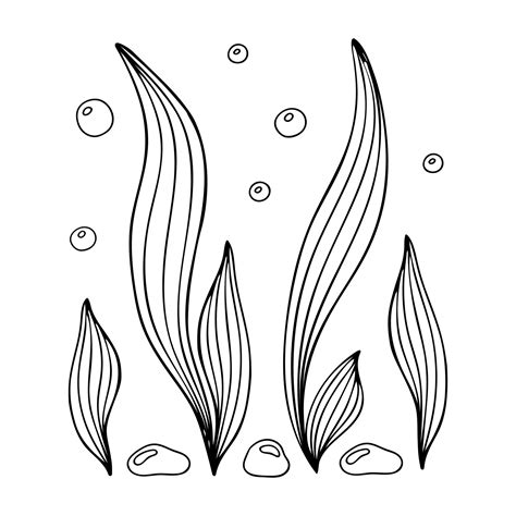 Doodle Of Seaweed With Bubbles And Stones Hand Drawn Contour Vector