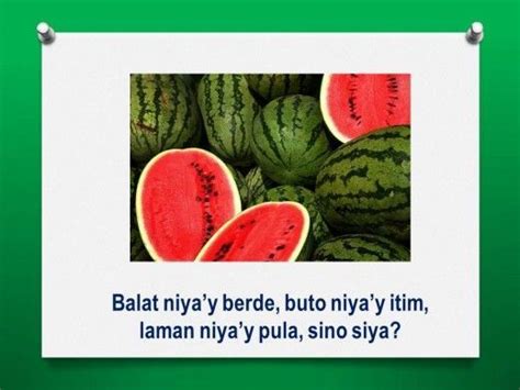 Filipino Riddles Collection Hubpages Fence Wall Design Roselle