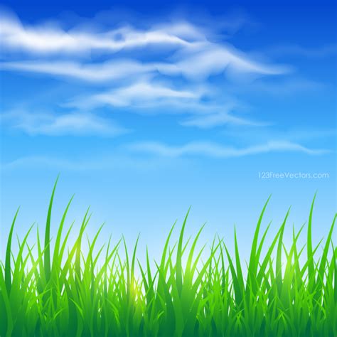 Blue Sky And Green Grass Background Nature Backgrounds In 2019