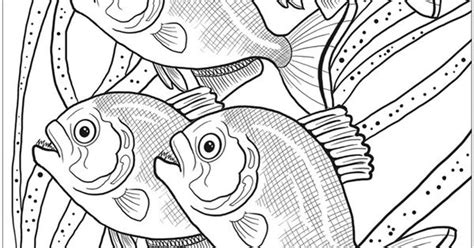 Dangerous Animals Coloring Pages Coloring Pages
