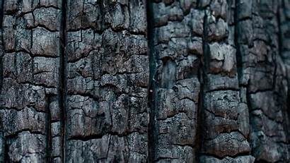 Texture Wood Coal 4k Uhd Widescreen Wallpaperscraft