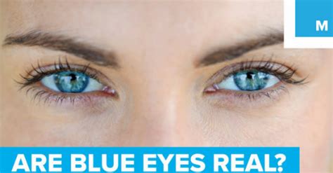 Does All Blue Eyed People Originate From Single Ancestor Sharedots