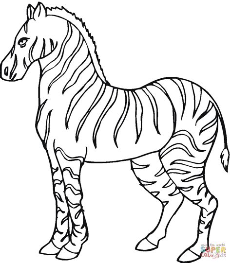 Zebra coloring page for kids. Zebra coloring pages to download and print for free