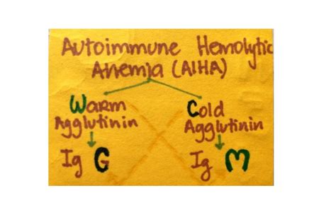 My Notes For Usmle — Autoimmune Hemolytic Anemia Aiha