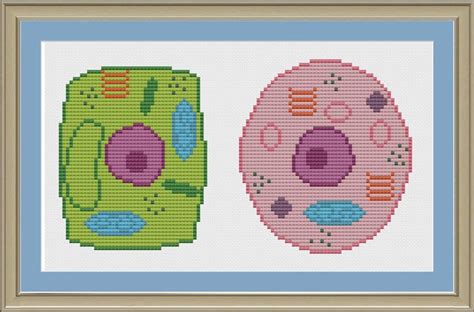 I really love playing around with images and bits of card, so i thought i would… Plant and animal cell: nerdy cell biology cross-stitch ...
