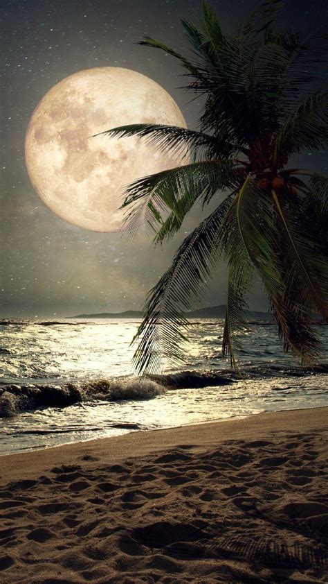 Beach At Night Iphone Wallpapers Top Free Beach At Night Iphone