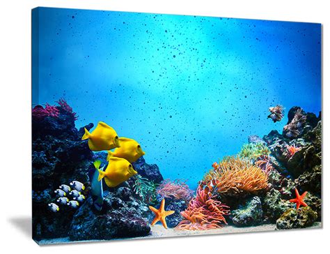 Underwater Scene Seascape Photography Canvas Print Beach Style